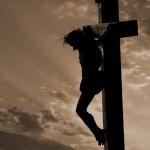 The Lamb Became the Shepherd