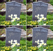 Reincarnation and Karma - Life after Death